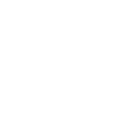img-vector-slider vector-image